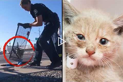 Firefighter Adopts 6-Week-Old Kitten Rescued From Drain