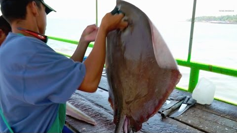Fish cutting: Stingray -  Seafood in El Salvador