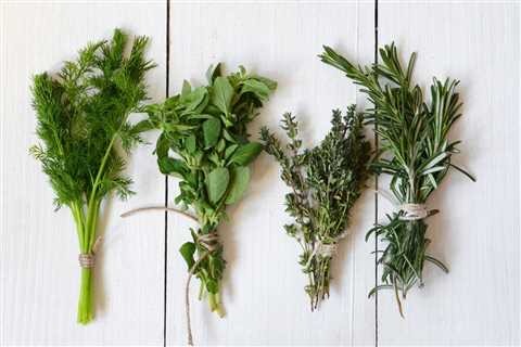 The Different Types of Herbs You Can Grow in Your Backyard