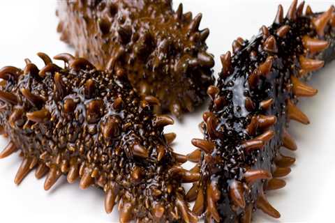 How do you eat fresh sea cucumbers?