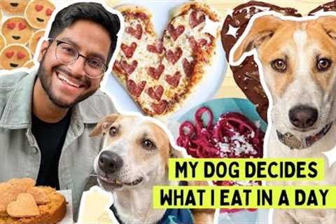 MY DOG DECIDES WHAT I EAT IN A DAY FOR VALENTINES ♥️ ft YODA | WHAT I ATE ON VALENTINES DAY