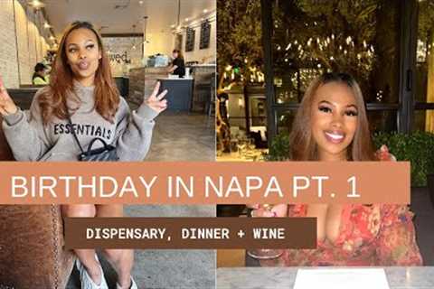 BIRTHDAY IN NAPA VALLEY VLOG PT. 1 | CLOUD 9, WINE WASTED + DINNER AT RESTORATION HARDWARE