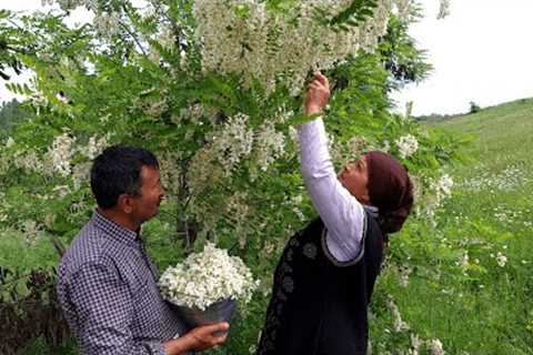 Making Natural Acacia Flower Jam and Delicious Lamb Dish, Village Cooking