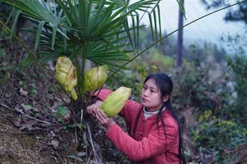 Cooking with Wild Ingredients from the Mountain