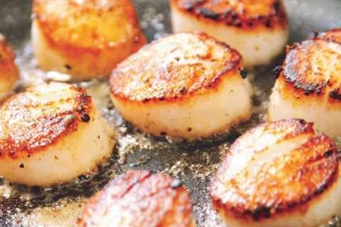 Are Dried Scallops a Healthy Source of Vitamin E?