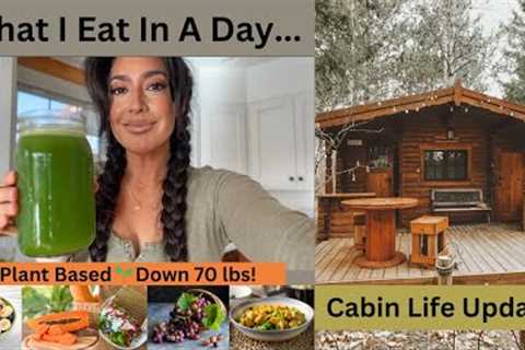 What I Eat In A Day// Plant Based// Cabin Life Update