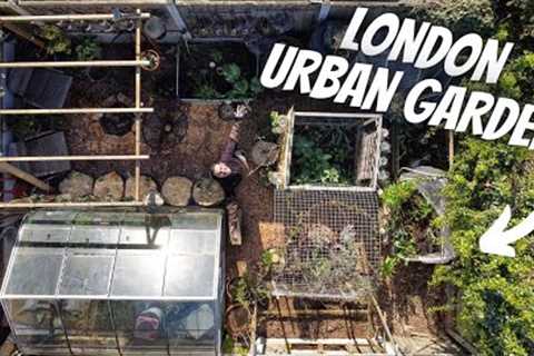 How we save money growing food in the city