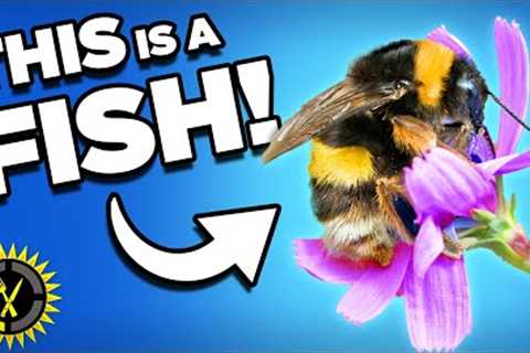 Food Theory: Bees are Fish