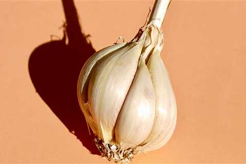 Garlic: Overview of Its Uses, Health Benefits and Recipes