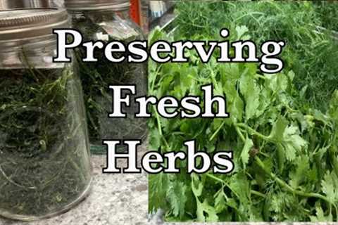 Preserving our farm fresh organic herbs! Intense Aroma!