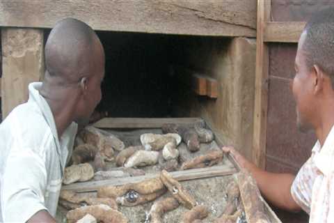 How Long Does it Take to Dry Sea Cucumbers?