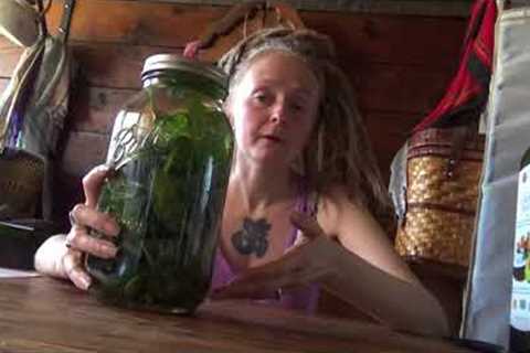 How to make infused Comfrey oil!