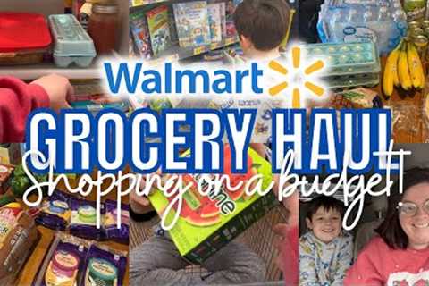 $64 WALMART GROCERY HAUL || Shop With Us + Meal Plan