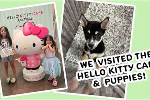 Las Vegas Family Trip May 2023 Pt 1 (Town Square, Hello kitty Cafe, puppies)