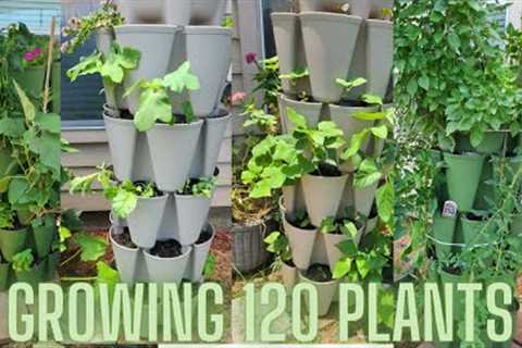 GROWING 120 PLANTS IN A SMALL SPACE|| EATONG RAW VEGAN||  ZONE 9A