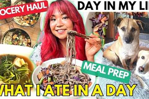 WHAT I ATE IN A DAY | Vegan Grocery Haul, Meal Prep, Day in My Life as a YouTuber