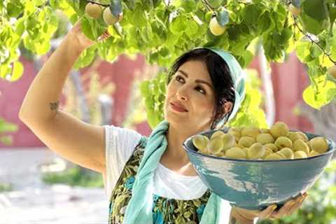 Country Woman Harvesting Apricot And Making Persian Apricot Jam💛A Daily Routine Life In IRAN..