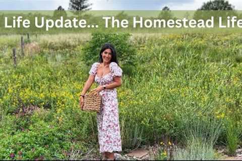 Day In The Life / Homestead Life Update / Plant Based