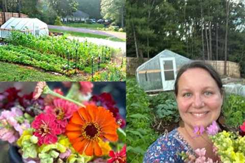 Suburban Front Yard —JULY Garden Tour