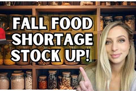 Stocking My Prepper Pantry | Cheap Foods With a Long Shelf Life