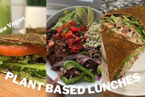 High Raw Vegan Lunch Ideas | Plant Based