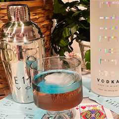 The Chilled 100 Bartenders Create Fruity and Floral Cocktails Using E11Even Vodka
