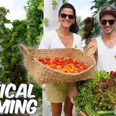The Future of Farming Without Soil while using Renewable Energy | Vertical Farming