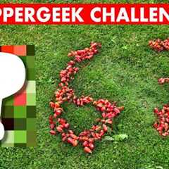 How many CHILLIES!? Peppergeek Challenge - Second Harvest