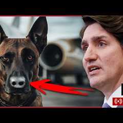 BREAKING! Trudeau to Resign in Canada? Emergency meeting of parliament | Redacted w Clayton Morris