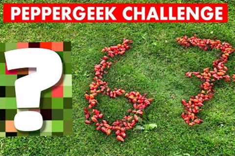 How many CHILLIES!? Peppergeek Challenge - Second Harvest