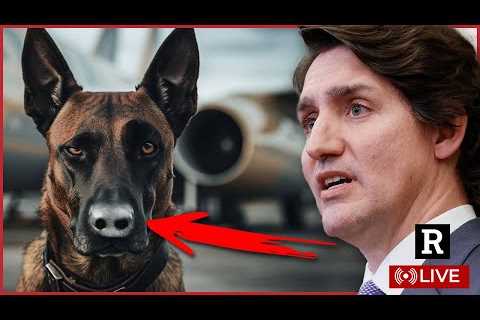 BREAKING! Trudeau to Resign in Canada? Emergency meeting of parliament | Redacted w Clayton Morris