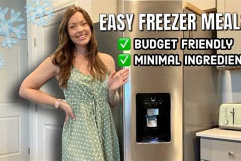 EASY FREEZER MEALS! Budget Friendly, Minimal Ingredients! Plant Based Freezer Meals