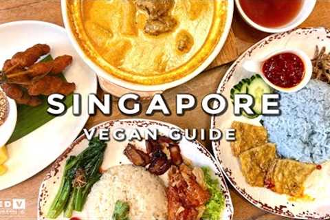 Vegan Travel Tips for Singapore: What to Eat and Where to Find It!