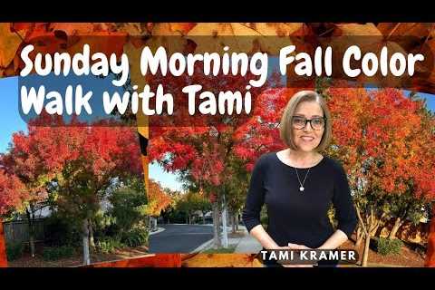 Sunday Morning Fall Colors Walk & Talk - Tami''s Nutmeg Notebook Whole Food Plant Based..