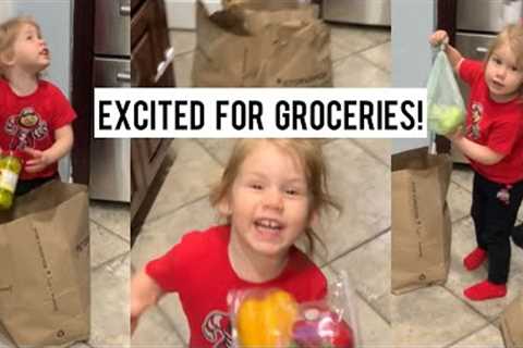 What Will She Want To Eat At The End? Dad & Daughter Grocery Unpacking