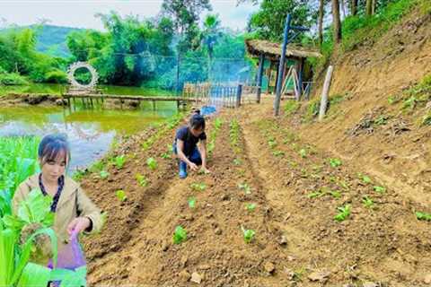 Gardening process - Growing vegetables - Growing lots of vegetables. Skills for living in the forest