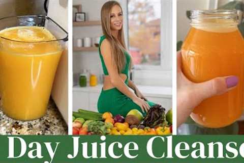 Come through a ONE DAY JUICE CLEANSE with me...(how much I drink + full recipes!)