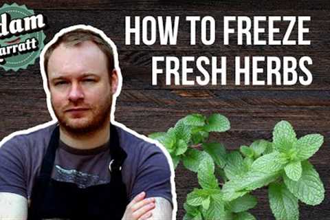 How to freeze fresh herbs to make them last | Pantrydemic recipes