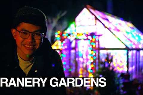 Greenhouse Christmas Lights, Holiday Centerpiece, Cooking Easy Thai Noodles