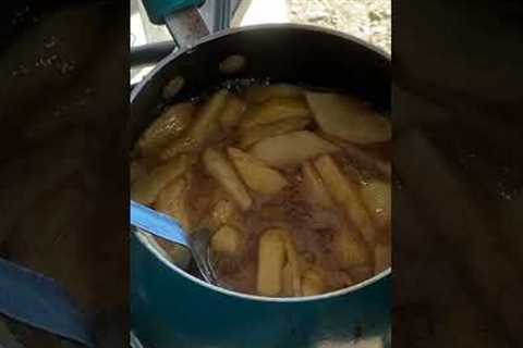 Apple Fried Pies