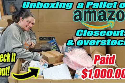 Unboxing a Pallet of Amazon Overstock and Shelf Pulls that I paid $1,000 for