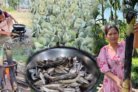 Cooking Delicious Fish Recipes for my Friends | Collecting Organic Cabbages