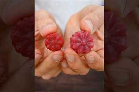 Healthy Homemade Gummies! 🍓