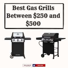 Best Gas Grills Between $250 and $500