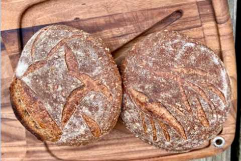 Harvest Grain Soaker Sourdough