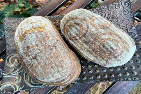 Guinness Onion Sour Cream Sourdough Rye