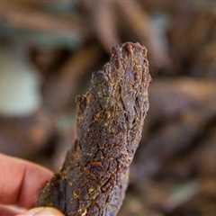 Big Green Egg Easy Homemade Beef Jerky